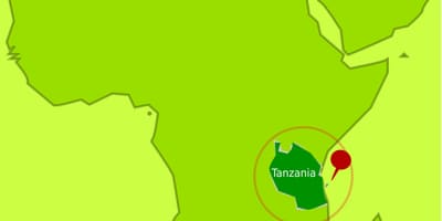 Kartice mafija-otok Tanzaniji